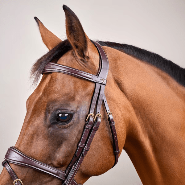 Hovedbilde Dyon Anatomic Flash Noseband Bridle D Collection