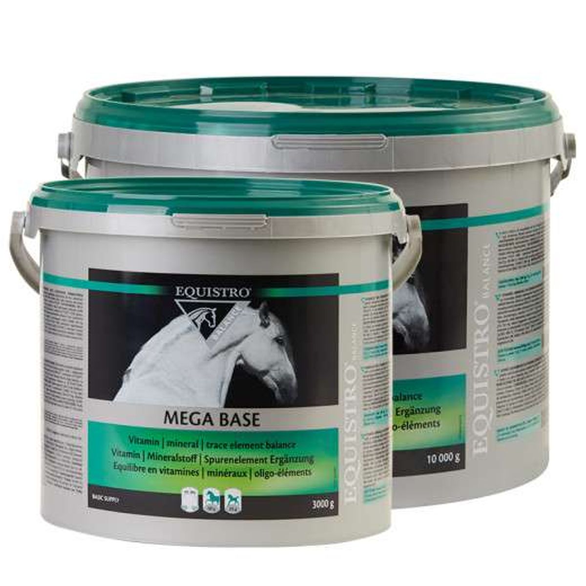 EQUISTRO MEGA BASE 10000 GR.