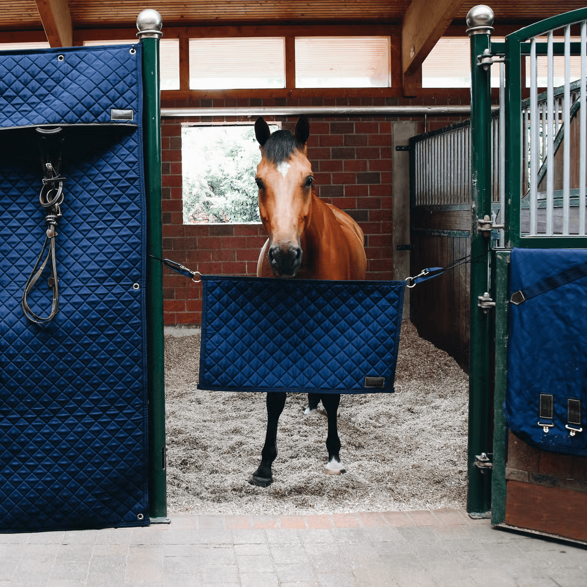 Kentucky Stable Guard