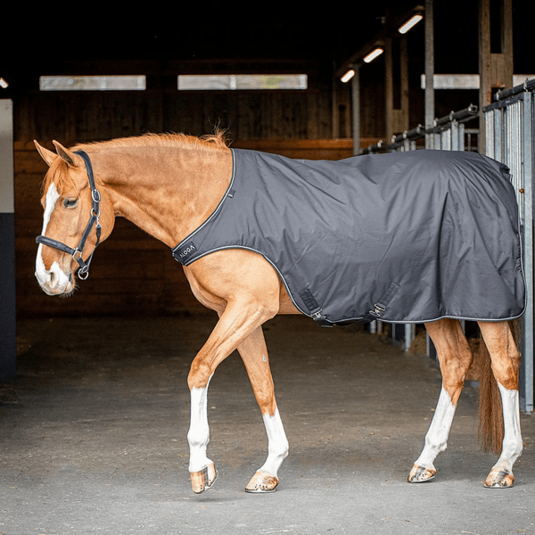 Hovedbilde Aloga Walkerdekken 200g 