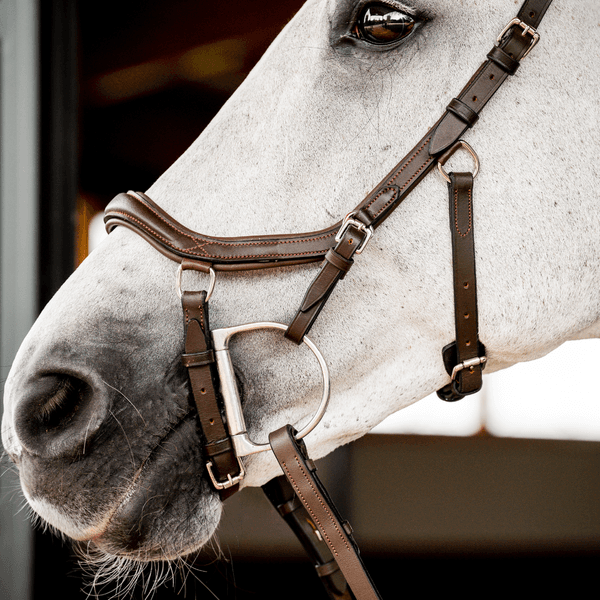 Hovedbilde Horseware Micklem deluxe Competition 