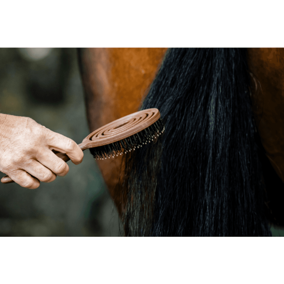 Horseware Signature Mane & Tail Brush