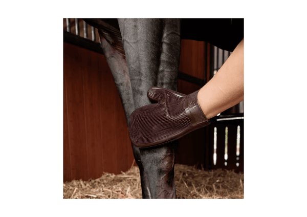 Hovedbilde Grooming Deluxe Rubber Grooming Glove