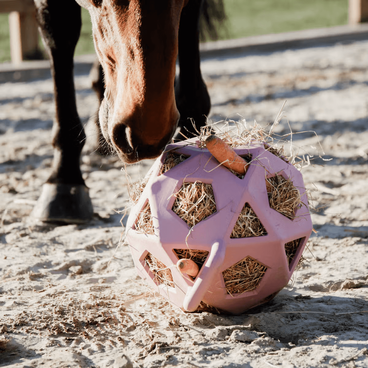 Kentucky Relax Horse Play & Hay Ball