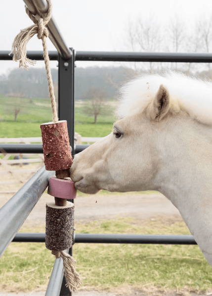 Hovedbilde Grooming Deluxe Wooden Relax Horse Toy with Salt ...