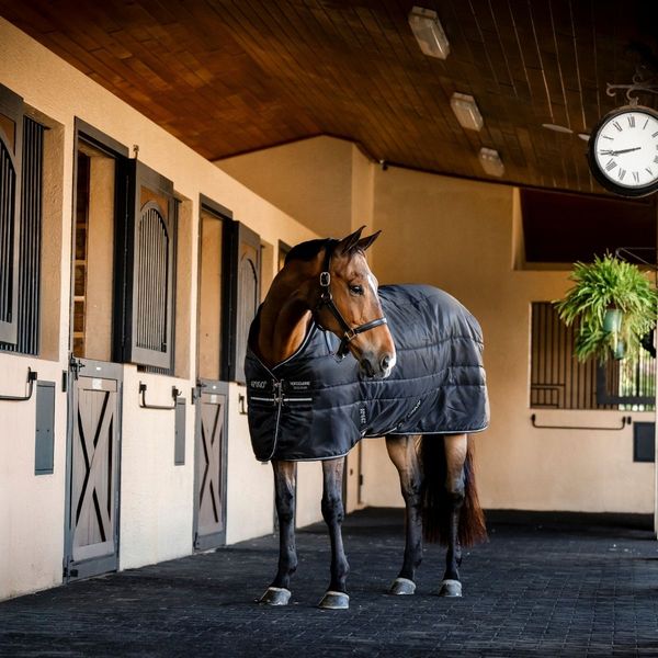 Hovedbilde Horseware Amigo Diamond Ripstop Insulator 100g