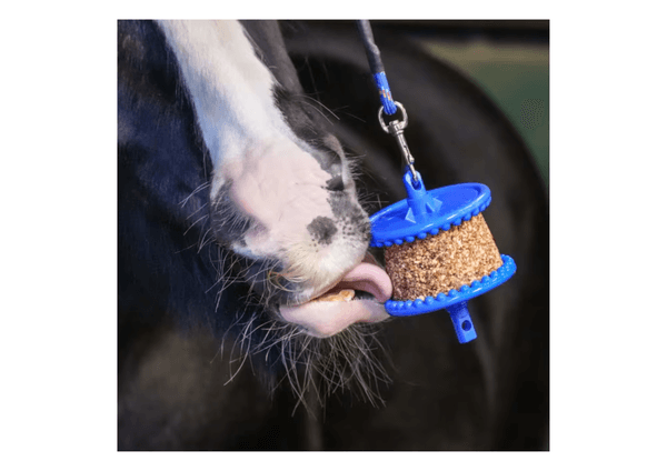 Hovedbilde Likit Refill GranoLo - 400g - Eple