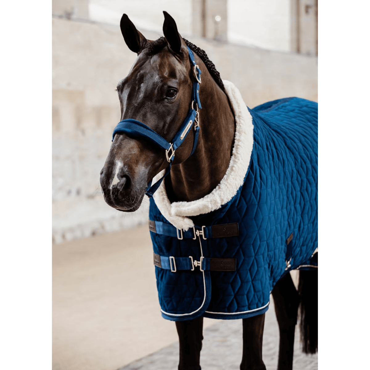 Kentucky Velvet Halter