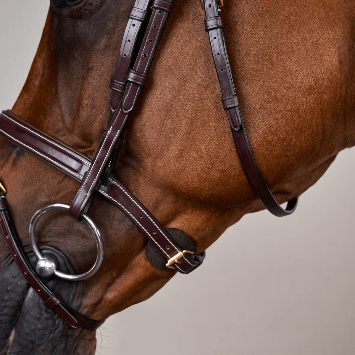 Dyon Flash Noseband Bridle Dyon DY