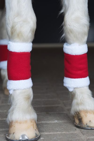 Hovedbilde HorseGuard Jule gamacher, 4 stk