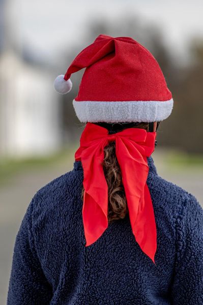 Hovedbilde HorseGuard julesløyfe