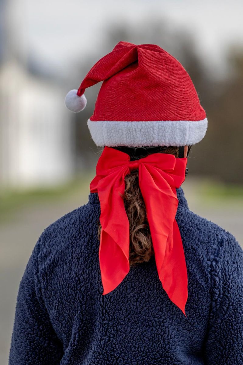 HorseGuard julesløyfe