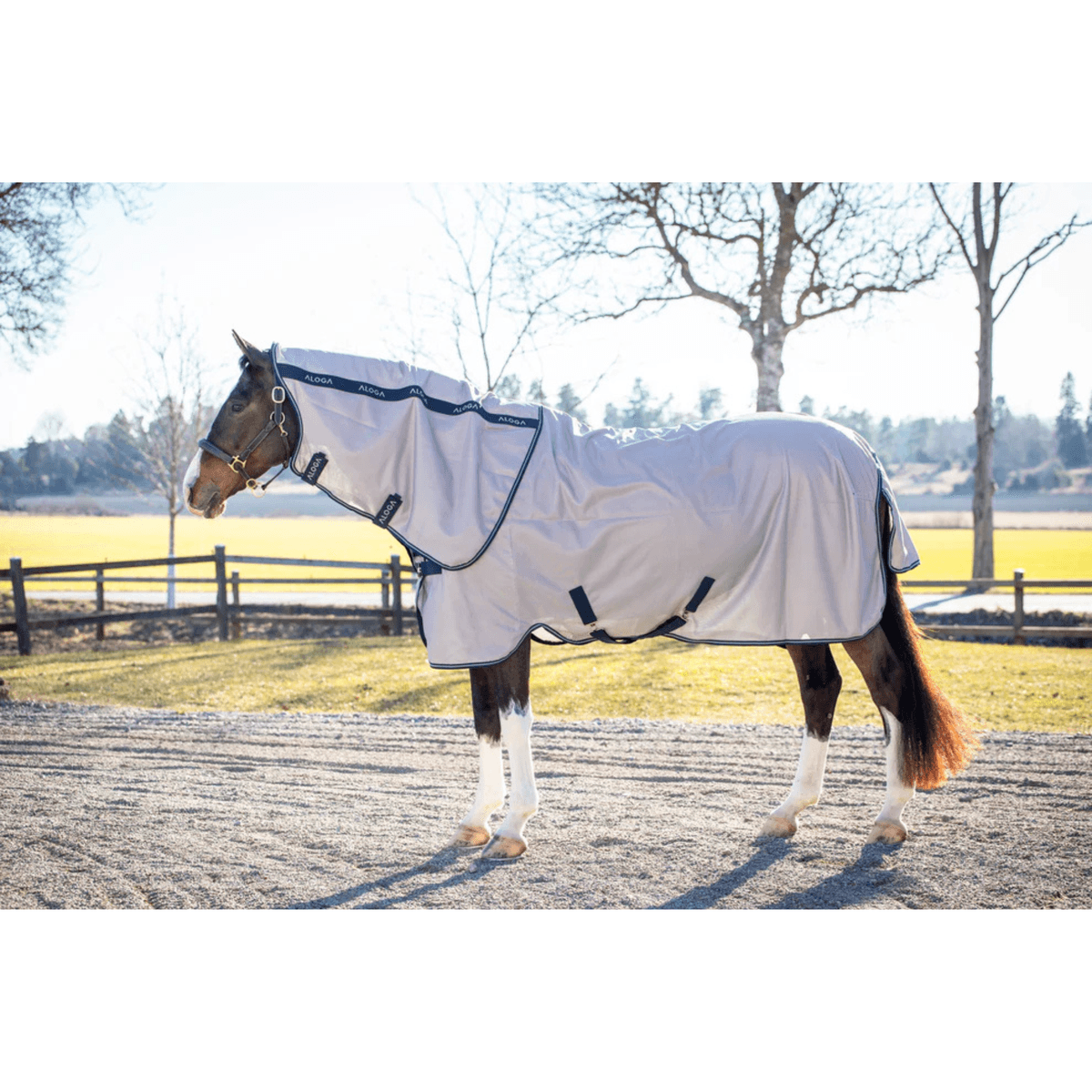 Aloga Pony Fly sheet with hood