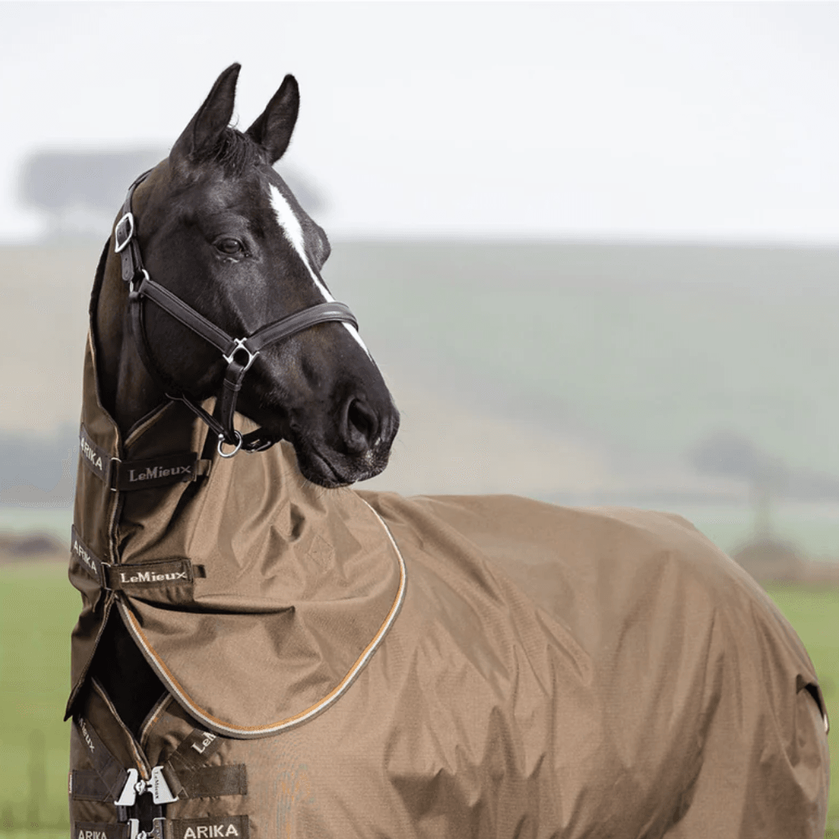 LeMieux Arika Ripstop Turnout Rug With Detachable Neck, 0 g