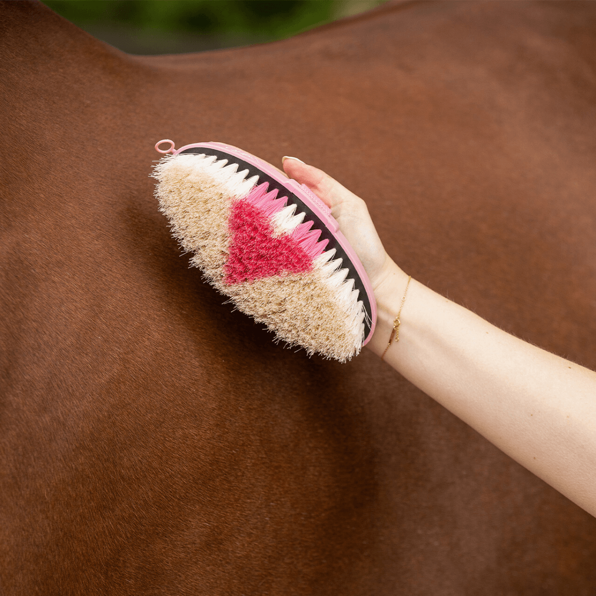 QHP Body brush Lyvia