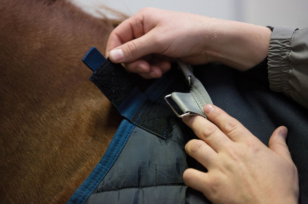 Horseware Liner lite 200g Navy