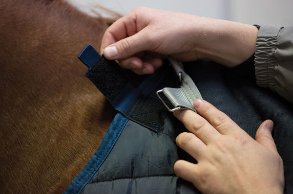 Hovedbilde Horseware Liner lite 200g Navy