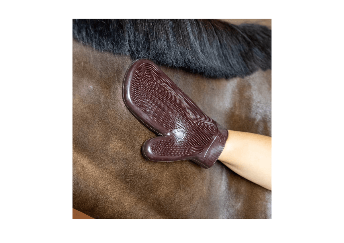 Grooming Deluxe Rubber Grooming Glove