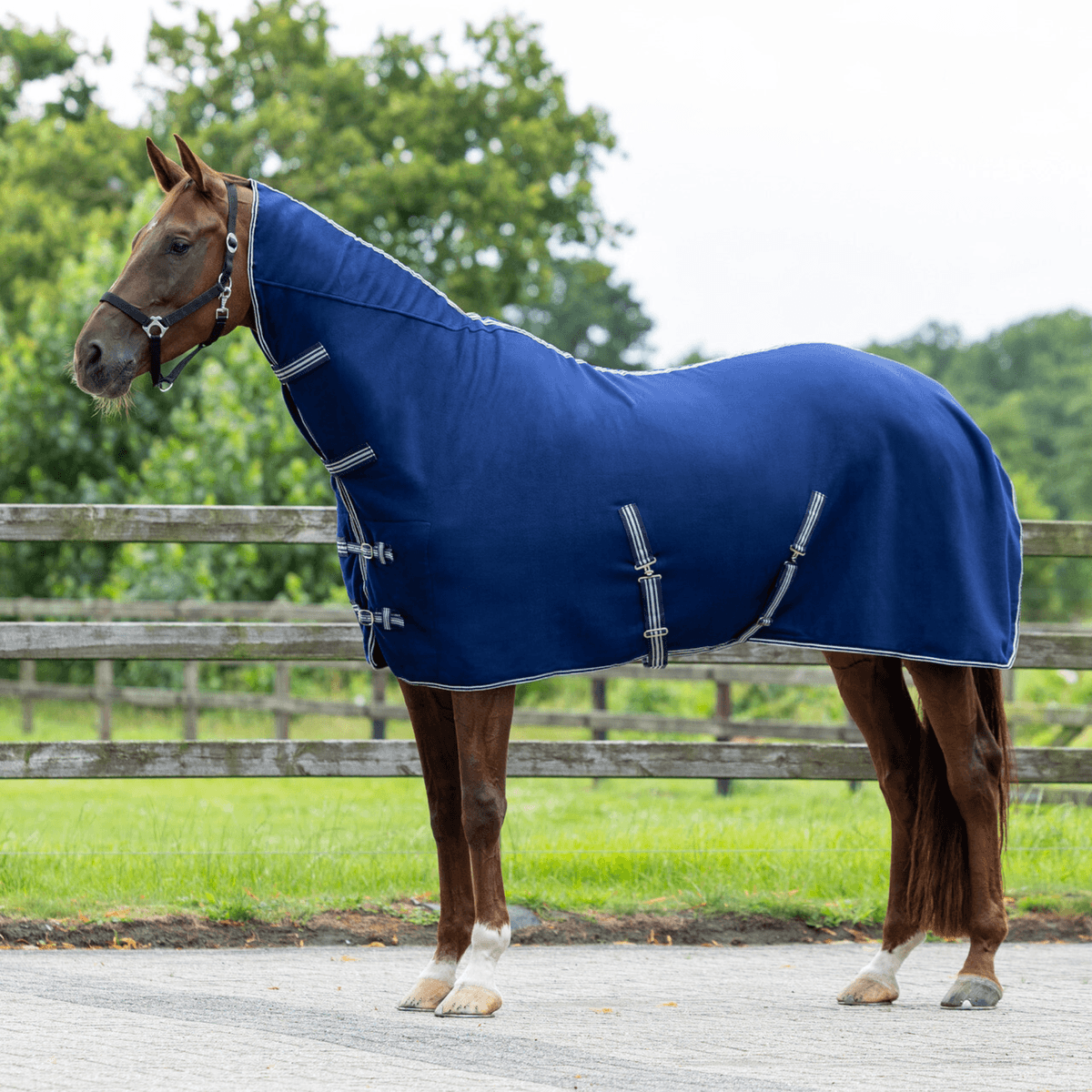 QHP Fleece rug basic with neck blue