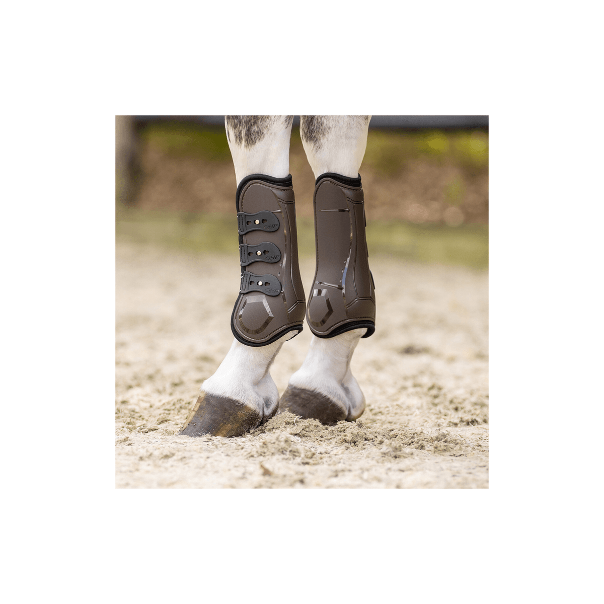 QHP Tendon boots Champion