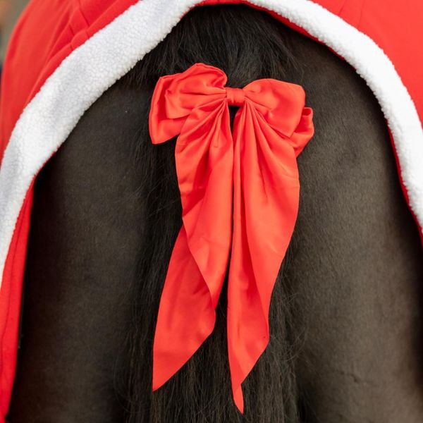 Hovedbilde HorseGuard julesløyfe