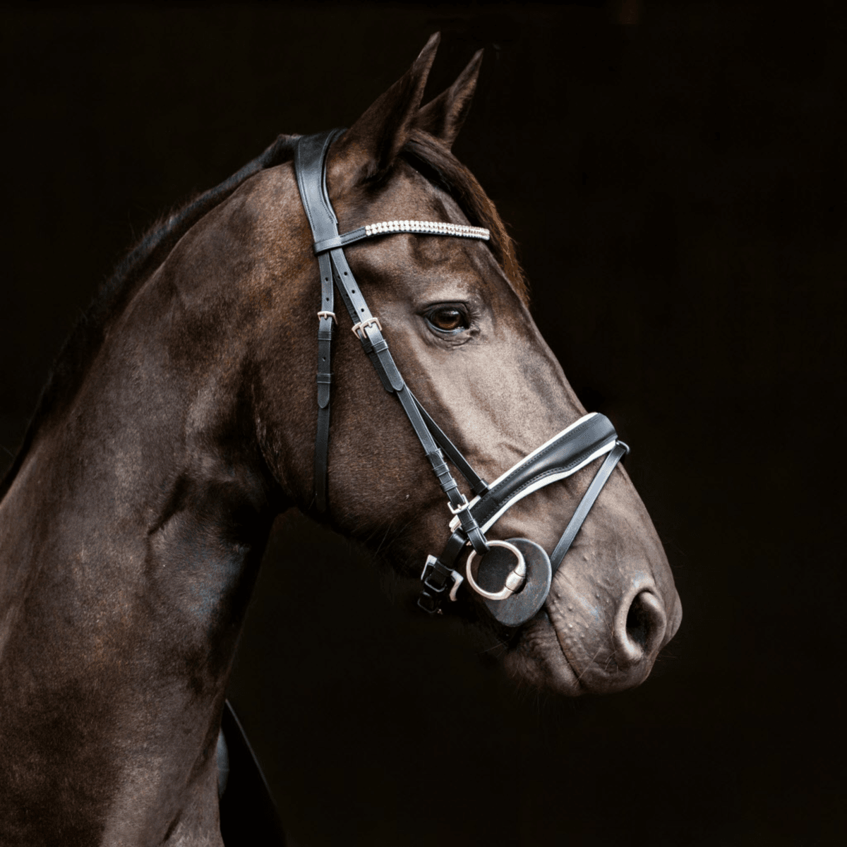 Horze Rohan Snaffle Bridle