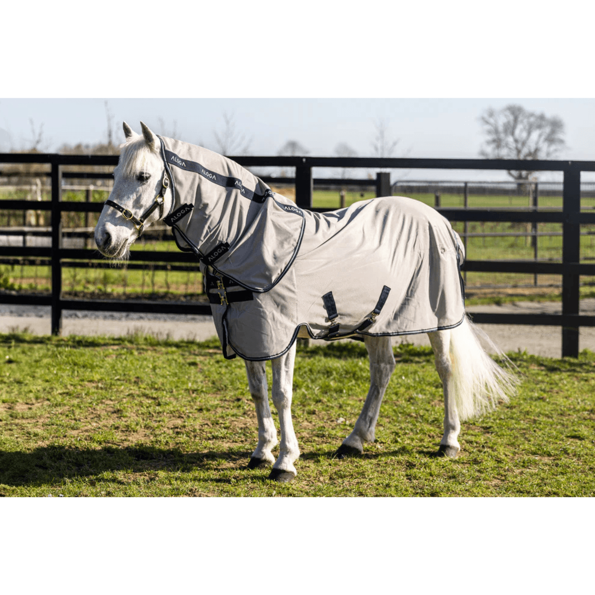 Aloga Pony Fly sheet with hood
