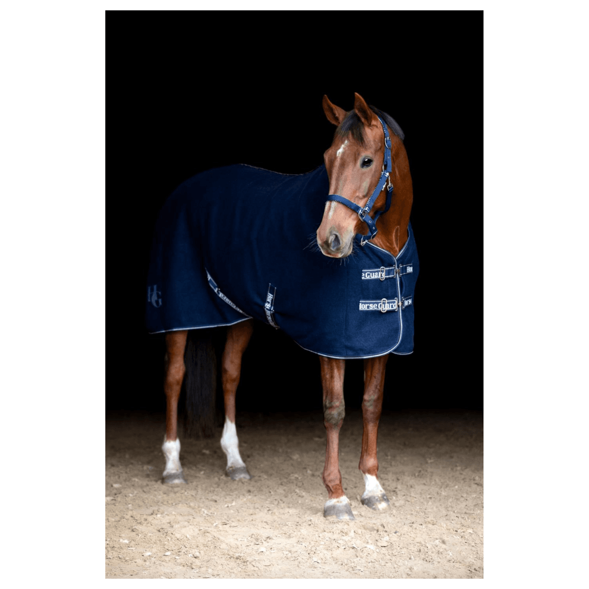 HorseGuard Veda Ulldekken