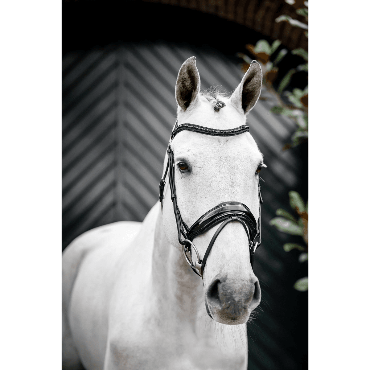 Horseware Diamante Flash Bridle