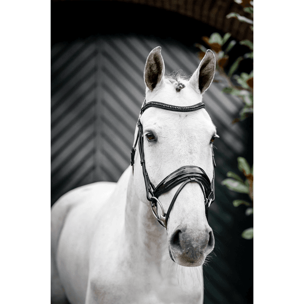 Hovedbilde Horseware Diamante Flash Bridle