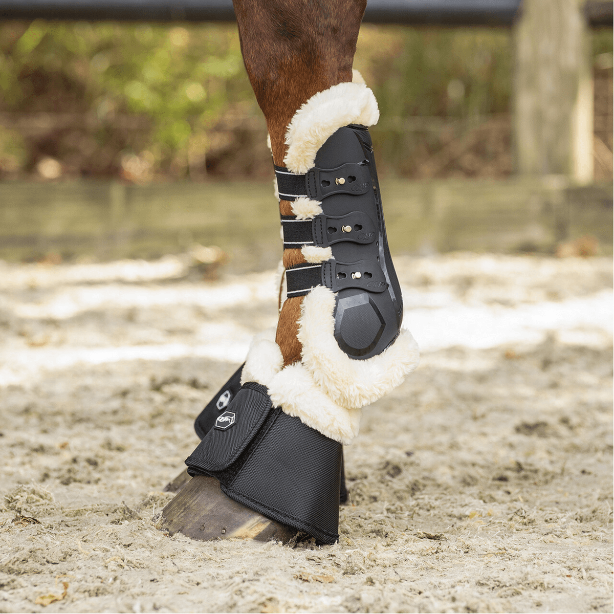 QHP Bell boots Ontario