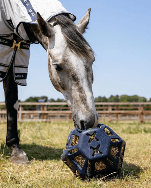 Hovedbilde LeMieux Hay ball