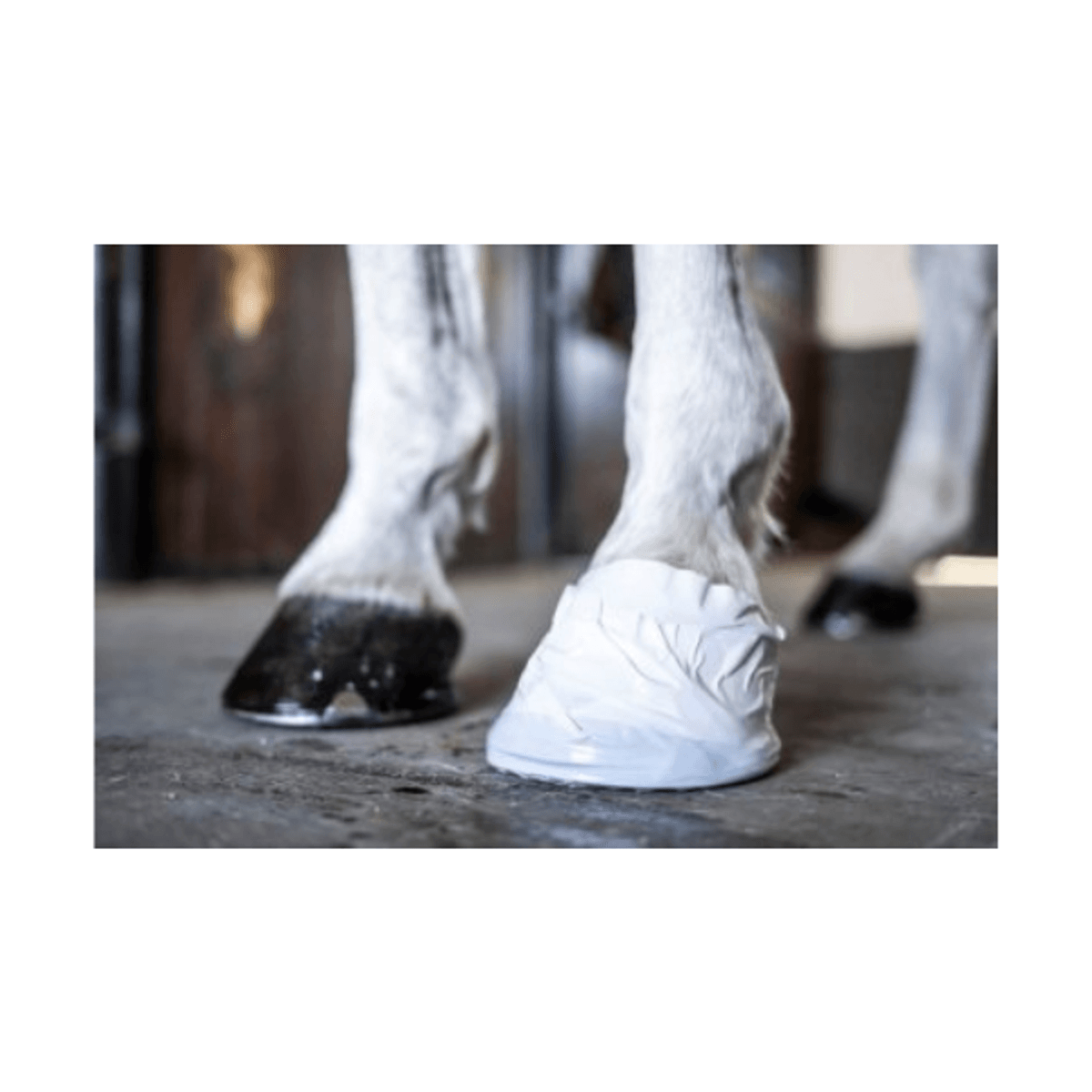 Hoof & Veterinary Tape