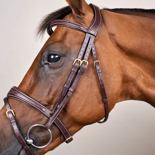 Hovedbilde Dyon Anatomic Flash Noseband Bridle D Collection