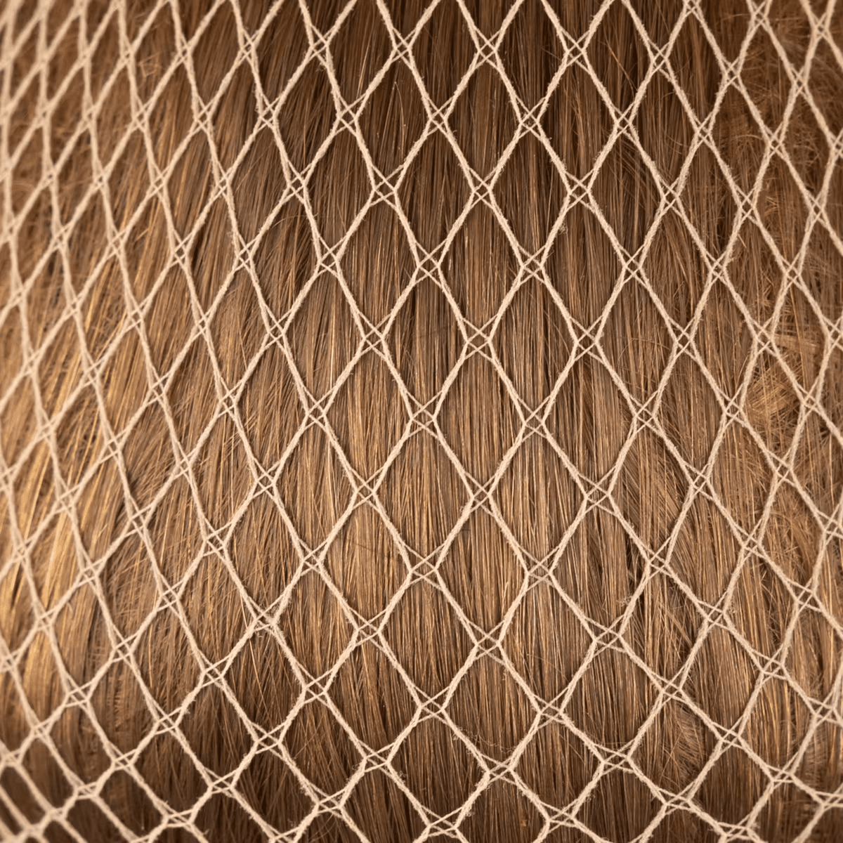 Kentucky Hairnet 2pcs