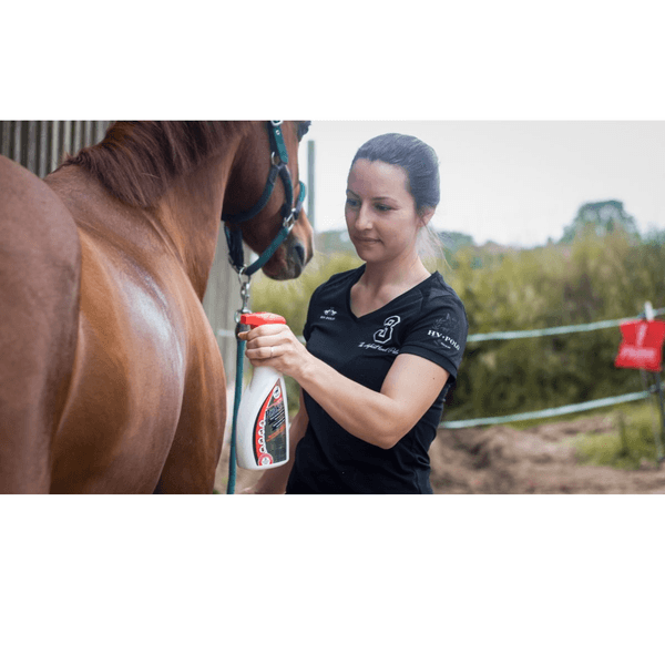 Hovedbilde Leovet Power Phaser Spray 550 ml