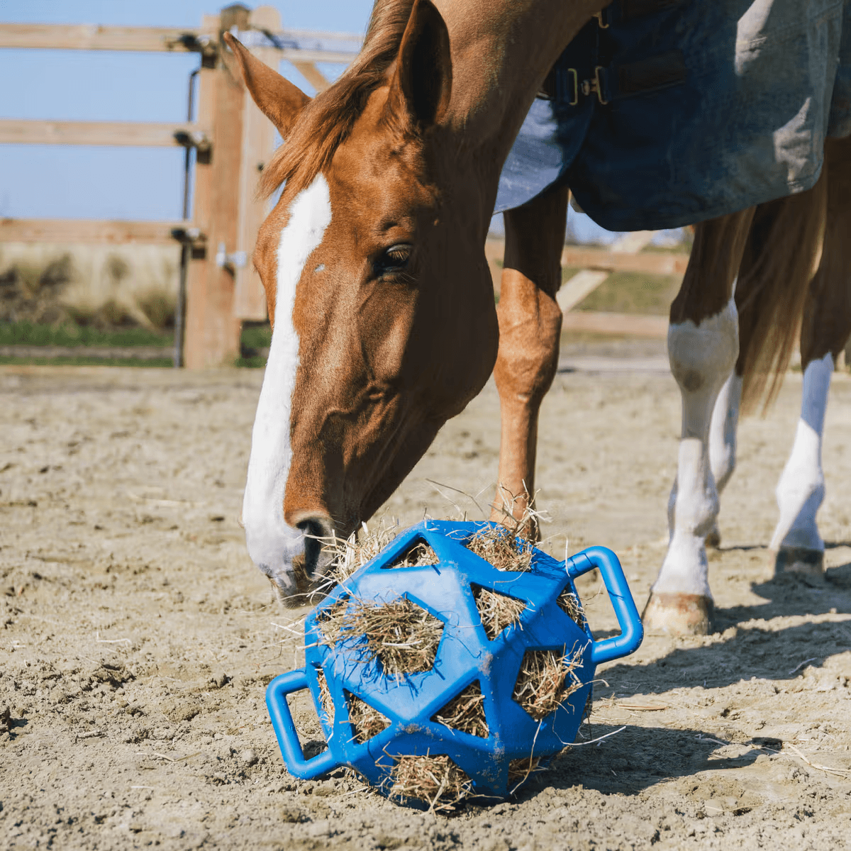 Kentucky Relax Horse Play & Hay Ball