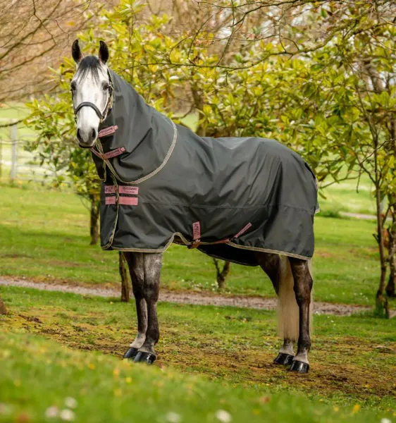 Hovedbilde Horseware Amigo Bravo 12 Plus Turnout Rug, 250 g
