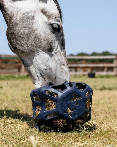 Hovedbilde LeMieux Hay ball