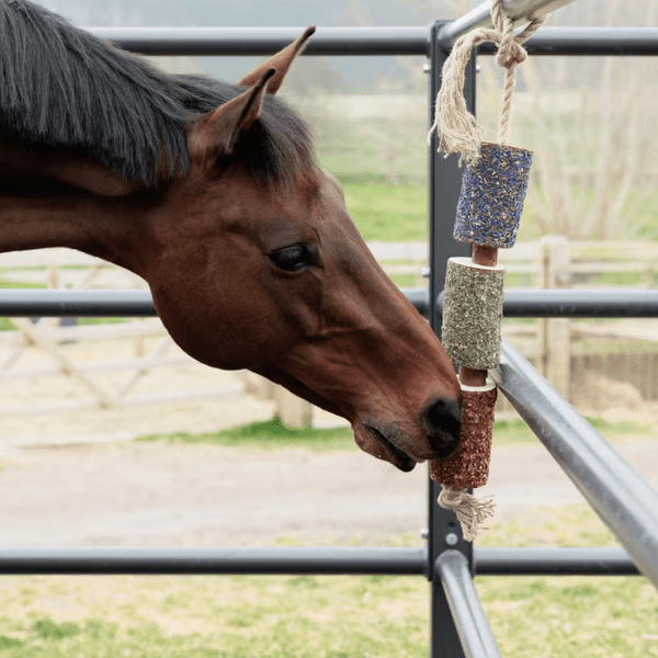 Hovedbilde Grooming Deluxe Wooden Relax Horse Toy 