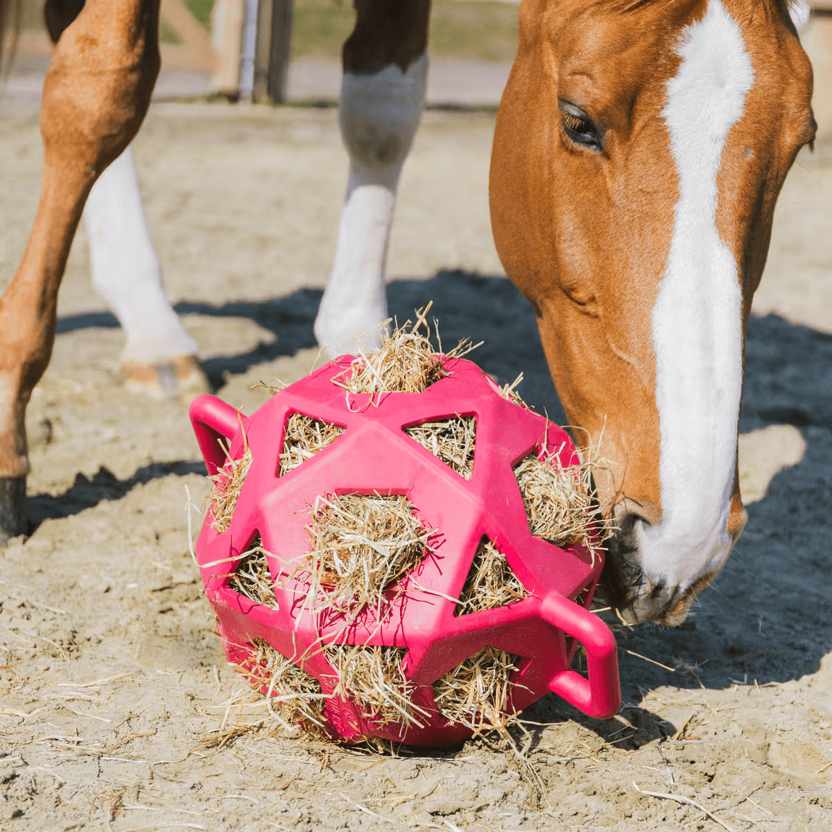 Kentucky Relax Horse Play & Hay Ball